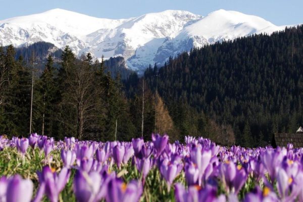 Wyjazd wiosenny w Tatry.