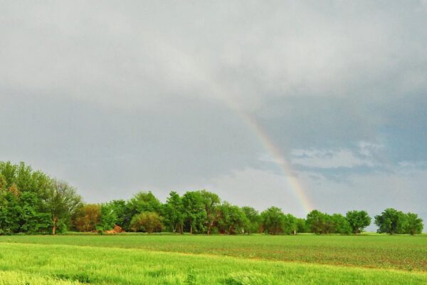Prawidłowe ubezpieczenie budynków gospodarczych.